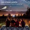 Reversible Outdoor Rug Carpet with LED Lights, 12' x 9' PP Straw Rug with Carry Bag and Ground Stakes