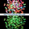 100pcs Luminous Colorful Turtle Figurines Set, Resin Glow-in-the-Dark Miniatures for DIY Crafts, Home Decor, Fairy Garden Accessories & Party Favors