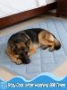 40x60in Large Cooling Blanket for Dogs - Machine Washable Soft Blanket with Q-MAX>0.4, Fits Medium Large Dogs