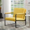 Metal Frame Accent Armchair