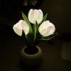 Tulip Lamp - LED Replica Tulip Table Lamp with Flower Vase for Desktop Decoration. Suitable for home, living room, desktop decoration, holiday gifts