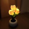 Tulip Lamp - LED Replica Tulip Table Lamp with Flower Vase for Desktop Decoration. Suitable for home, living room, desktop decoration, holiday gifts