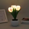 Tulip Lamp - LED Replica Tulip Table Lamp with Flower Vase for Desktop Decoration. Suitable for home, living room, desktop decoration, holiday gifts