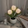 Tulip Lamp - LED Replica Tulip Table Lamp with Flower Vase for Desktop Decoration. Suitable for home, living room, desktop decoration, holiday gifts