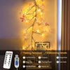 Enchanted Lights with Remote, 18 Branches 144 LEDs Lighted Willow Swag for Wall Decor, Indoor Artificial Plug in Fairy Lights for Bedroom, Living Room
