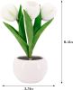 Tulip Lamp - LED Replica Tulip Table Lamp with Flower Vase for Desktop Decoration. Suitable for home, living room, desktop decoration, holiday gifts