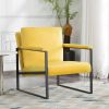 Metal Frame Accent Armchair