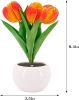Tulip Lamp - LED Replica Tulip Table Lamp with Flower Vase for Desktop Decoration. Suitable for home, living room, desktop decoration, holiday gifts