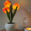 Tulip Lamp - LED Replica Tulip Table Lamp with Flower Vase for Desktop Decoration. Suitable for home, living room, desktop decoration, holiday gifts